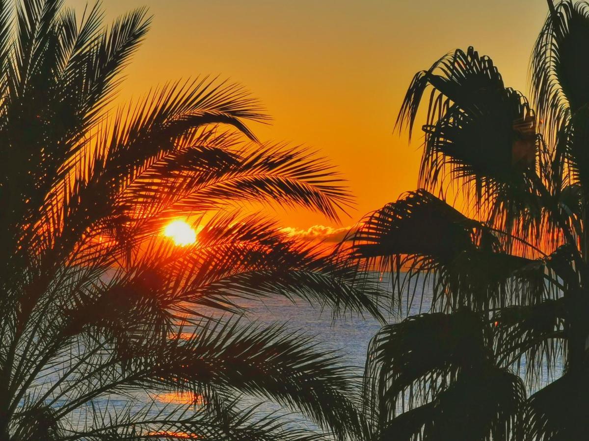 Panoramic Sea View Studio 24H Checkin 滨海卡涅 外观 照片